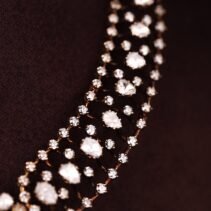 IMG_20251223_140541_563